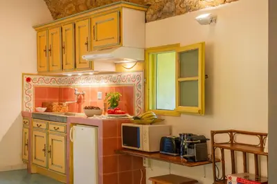 a kitchen with wooden cabinets and a microwave at Casa U Quercitellu Ville-di-Paraso in Ville-di-Paraso