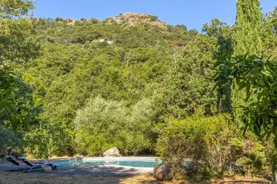 a swimming pool in the middle of a forest at Casa U Quercitellu Ville-di-Paraso in Ville-di-Paraso