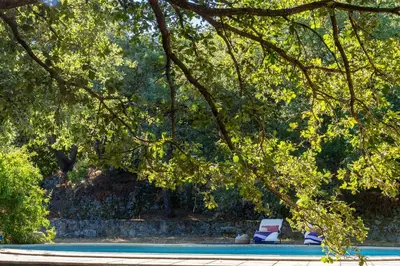 a swimming pool with two lounge chairs under a tree at Casa U Quercitellu Ville-di-Paraso in Ville-di-Paraso