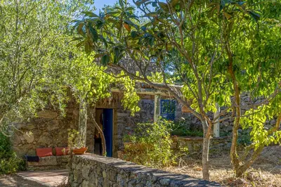 a stone house with a blue door and trees at Casa U Quercitellu Ville-di-Paraso in Ville-di-Paraso