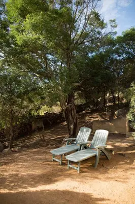 two chairs and a bench sitting under a tree at Villa Lavezzi F2 2-4 pers Rondinara, Bonifacio in Bonifacio