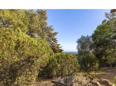 a park bench sitting in the middle of trees at Villa Lavezzi F2 2-4 pers Rondinara, Bonifacio in Bonifacio