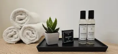 a black tray with two bottles of essential oils and a plant at T2 Alba Rossa n 124, Chaleureux vue mer et piscine in Serra-di-Ferro