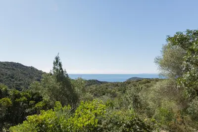 a view of the ocean from a hill with trees at Villa RoccaPina 35 m2 - 2 - 4 people Rondinara, Bonifacio in Bonifacio