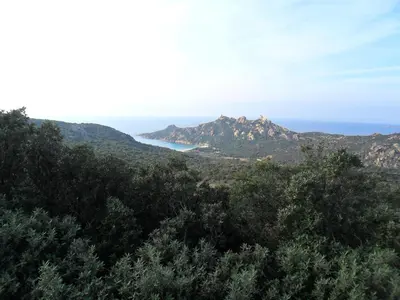 a view of the ocean and mountains with trees at JARDIN de PRATAVONE in Cognocoli-Monticchi