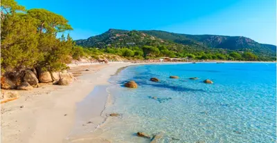 a view of a beach with trees and the water at Mini Villa - Les Hameaux de Saint Cyprien in Lecci