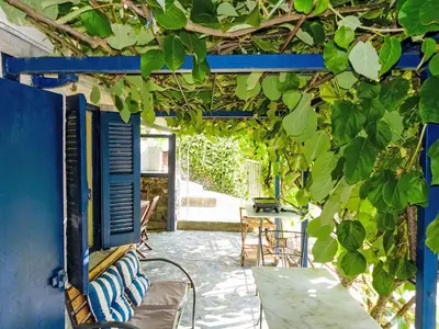 a patio with a table and chairs and vines at Maison entre mer et montagne in Santa-Reparata-di-Moriani