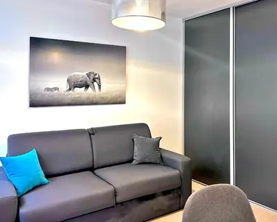 a living room with a couch and a picture of an elephant at Studio climatisé au cœur d Ajaccio - à pied des plages et du centre in Ajaccio