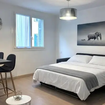 Studio climatisé au cœur d Ajaccio - à pied des plages et du centre