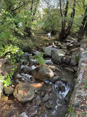 a stream of water with rocks and trees at Casa di u Fiume in Peri