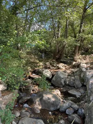 a stream of rocks and trees in a forest at Casa di u Fiume in Peri