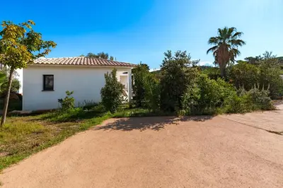 a white house with a palm tree and a dirt road at Villa U Veniqui 1 - Piscine privée in Conca