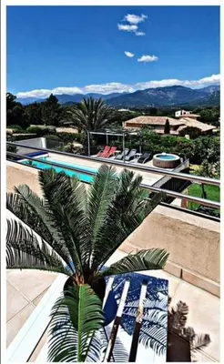 a palm tree sitting next to a swimming pool at Villa les Palmiers pool spa view of Bavella in Sainte-Lucie de Porto-Vecchio