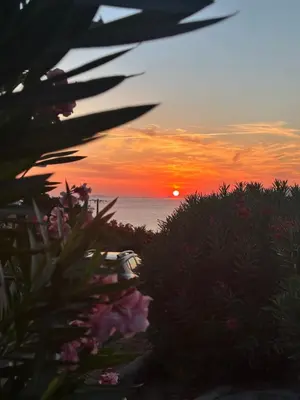 a sunset over the ocean with flowers in the foreground at Appartement T3 vue mer et coucher de soleil sur les Îles Sanguinaires - climatisé in Pietrosella