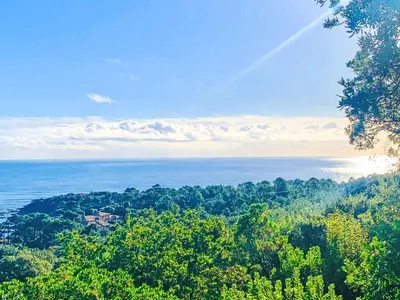a view of the ocean from a hill with trees at Holiday Home Casa Orsoni 100m² by Interhome in Cannella