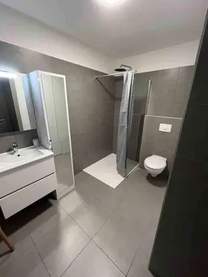 a bathroom with a shower and a toilet and a sink at bel appartement vue montagne proche bastia in Borgo
