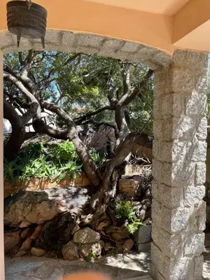 a stone archway with a tree in the background at Maison Bon Aria familiale vue mer 5 min plages in Porto-Vecchio