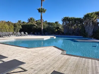 a large swimming pool with chairs and palm trees at T2 cozy terrasse 40 m2 et pergola in Pianottoli-Caldarello