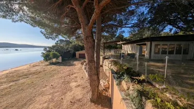 a tree in front of a house next to the water at T2 cozy terrasse 40 m2 et pergola in Pianottoli-Caldarello