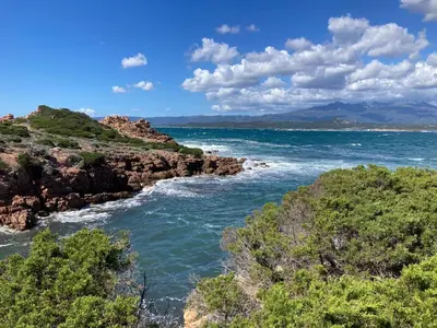 a view of the ocean with rocks and trees at T2 cozy terrasse 40 m2 et pergola in Pianottoli-Caldarello