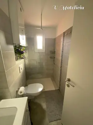 a bathroom with a white toilet and a shower at logement piscine Porto Vecchio U Mateliciu in Lecci