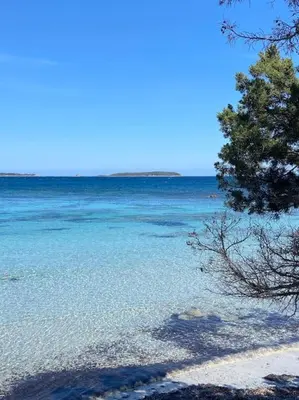 a beach with blue water and trees on it at logement piscine Porto Vecchio U Mateliciu in Lecci