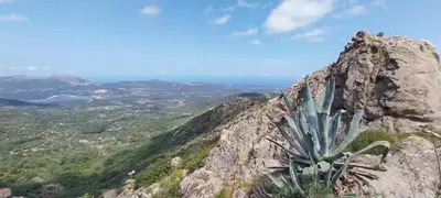 a cactus on the side of a rocky mountain at La maison du bonheur in Ville-di-Paraso