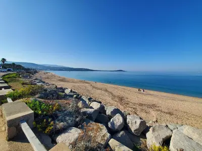 a beach with rocks and a dog on the beach at Appartement T3 Porticcio résidence les Jardins de Livia in Albitreccia
