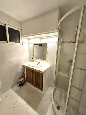 a bathroom with a sink and a shower at rez de villa confort & grand extérieur in Furiani