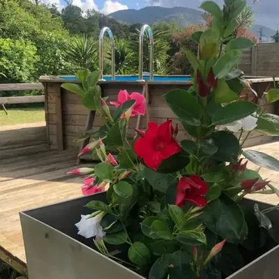 villa paisible de campagne avec piscine