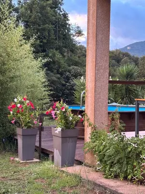 two pots of flowers on a porch with a pool at villa paisible à la campagne in Alata