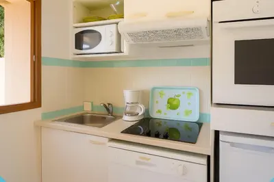 a small kitchen with a sink and a microwave at Villa vue jardin dans résidence calme wifi piscine mer à pied in Serra-di-Ferro
