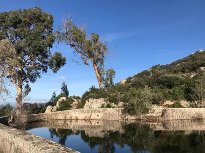 a body of water with trees and mountains in the background at camping la vallée in Coti-Chiavari