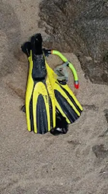 a yellow and black toy in the sand at camping la vallée in Coti-Chiavari