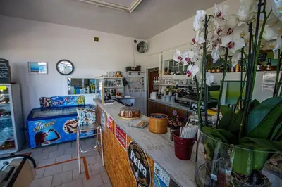 a shop with a counter with flowers on it at camping la vallée in Coti-Chiavari