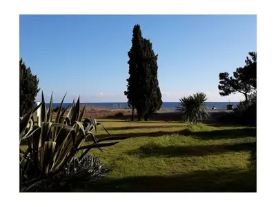 a tree and some plants in a field at Marines de Moriani in Moriani Plage