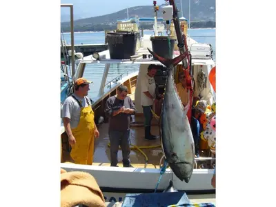 a group of people standing on a boat with a fish at Cabin in Montegrosso with Wi-Fi in Montegrosso