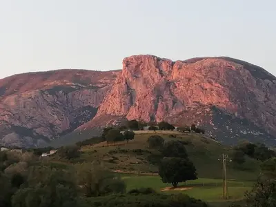a mountain in front of a field with trees at Villa 300m2 piscine chauffée et jacuzzi-spa de nage in Afa