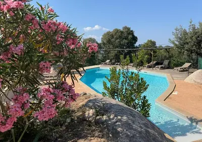 a swimming pool with pink flowers in front of it at Villa Tonnara - Maison du soleil in Sotta
