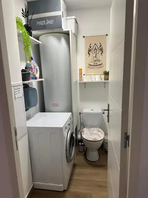 a small bathroom with a washing machine and a toilet at Appartement T2 calme et paisible Vescovato in Venzolasca