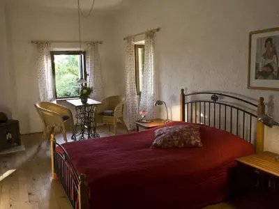 a weeping willow tree in a field at sunset at Holiday apartment with 1 bedroom in Montegrosso