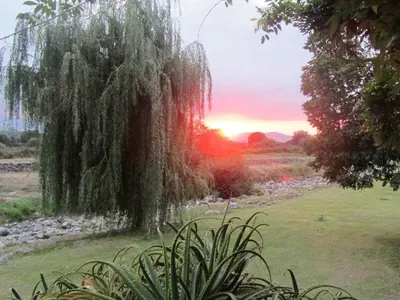 a greenhouse in a garden with flowers at Holiday apartment with 1 bedroom in Montegrosso