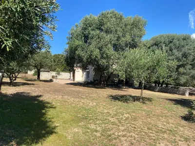 a house in the middle of a field with trees at Cozy mini villa proche plages, calme & activés in Bonifacio