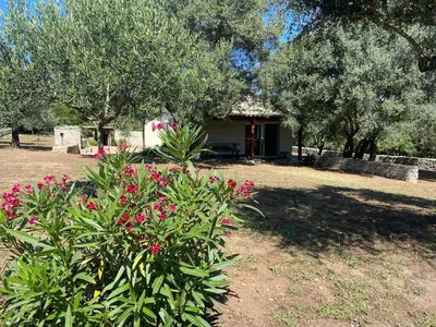 a bush with pink flowers in front of a house at Cozy mini villa proche plages, calme & activés in Bonifacio