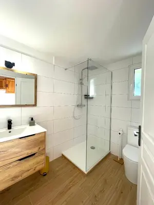 a bathroom with a shower and a sink and a toilet at Charmant Duplex à la campagne in Riventosa