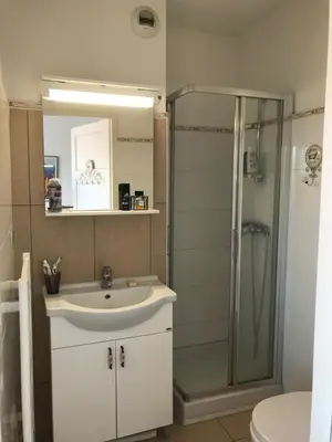 a bathroom with a sink and a shower at Appartement Cosy Port de Porto-Vecchio in Porto-Vecchio