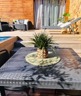 a table with a potted plant on a patio at Villa Carmen avec petite piscine privée in Figari