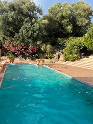 a swimming pool with blue water and trees and flowers at Casa Campana in Viggianello