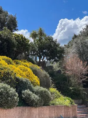 a garden with yellow flowers and a concrete wall at Casa Campana in Viggianello
