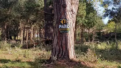 a tree with a sign on the side of it at Villa Canoe - Appartement 2 pièces in Santa-Maria-Poggio